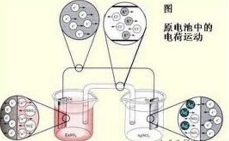 麻豆免费网站