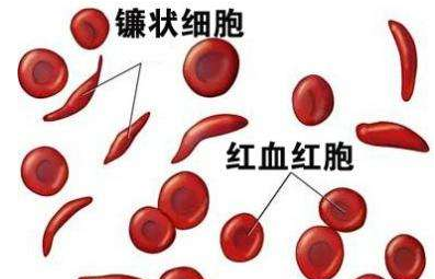 人體麻豆免费网站廠家介紹檢測微量元素的儀器