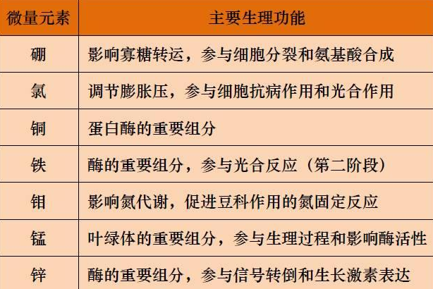 山東聊城全自動血鉛檢測儀一體機：微量元素的主要作用8.20